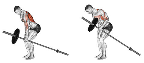 One-Arm Barbell Row Guide and Tips